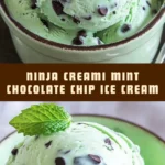Ninja Creami Mint Chocolate Chip Ice Cream 19 Pinterest Hidden Image