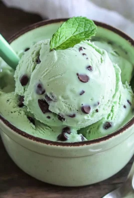 Ninja Creami Mint Chocolate Chip Ice Cream