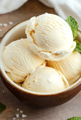 Vanilla Vegan Ice Cream 20 Vanilla Vegan Ice Cream