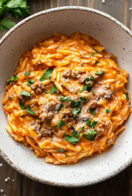 Ground Beef Orzo with Tomato Cream Sauce 23 Ground Beef Orzo with Tomato Cream Sauce