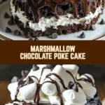 Marshmallow Chocolate Poke Cake 18 Pinterest Hidden Image